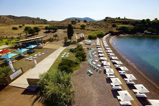 House Next To The Sea