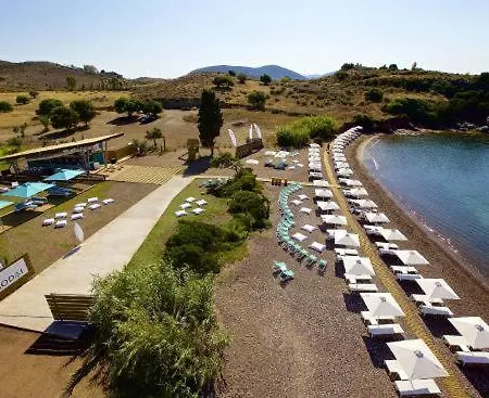House Next To The Sea